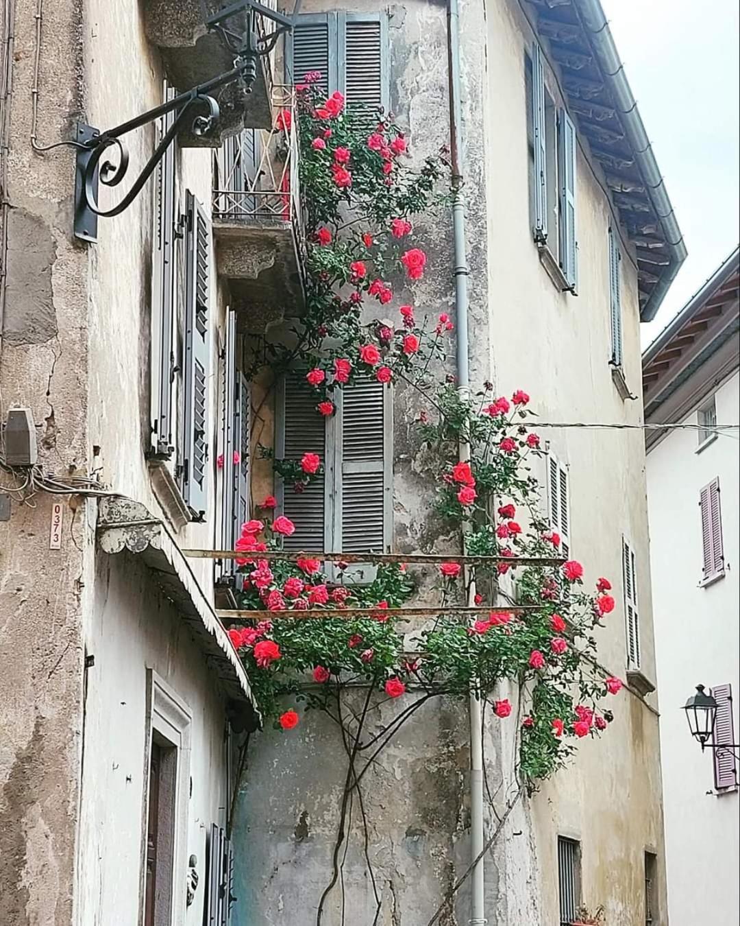 L'Airone - Casa Vacanza Mandello del Lario Luaran gambar